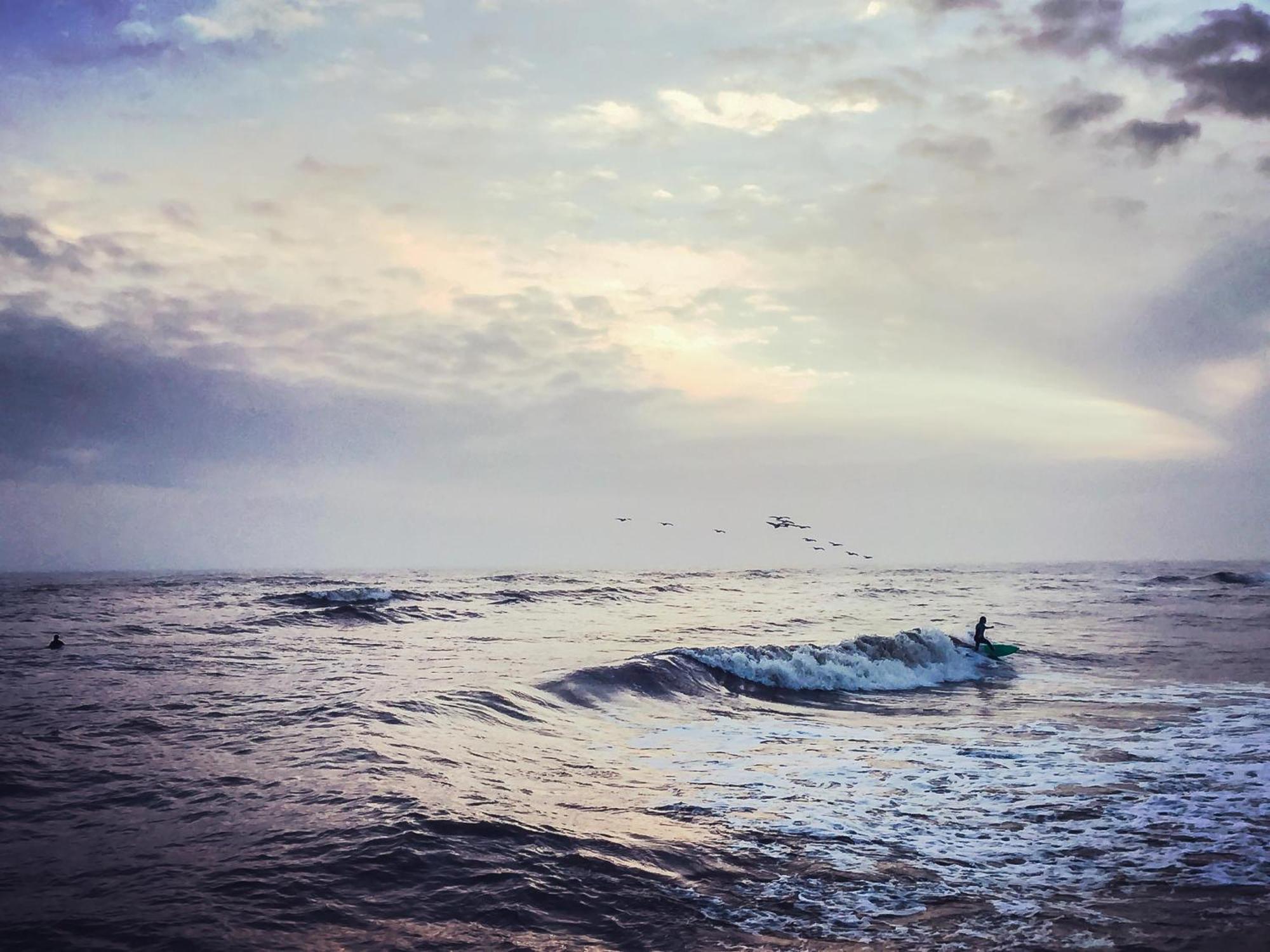 Cdm 303 - Sandy Seashore Solace Galveston Dış mekan fotoğraf